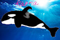 Katina the orca