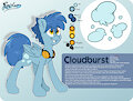 cloudburst ref