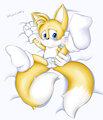 Tails on the sheets 3 by AlystairCat