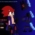 Ace The Hedgehog 2010 