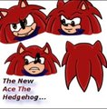 Ace The Hedgehog 2011