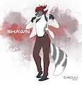 Shawn Redesign - By Cacuu