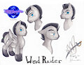 Comm: Wind Raider