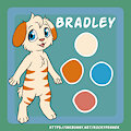 Bradley Bengal