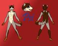 [Com] Psi's Reference Sheet (by Wildlion) by PsiNei