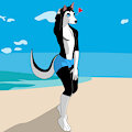 Husky at the beach by Xcharemain