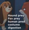 The fox and the hound meet cruel cat (RP) by Anyonarex