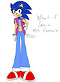 What If Sonic Was Female?