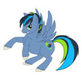 Technic Flash Pony Commission