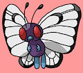 Pokemon 12 butterfree