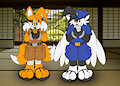 Commission - Ninja Tails & Klonoa