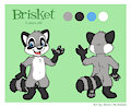 brisket raccoon Full reference by BrisketRingtail