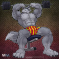 Serious Fitness Wolf by Cooner, colored by Wuffamute