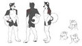 Mikita Husky Reference Sheet (Colors Only)
