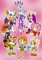 Sonic Girls  by sonictopfan