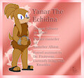 Yanar the echidna