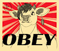 Obey