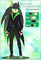 Katorasu Character Sheet by KatorasuZer0