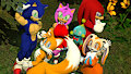 Sonic Advance 3 Ending [Recreation]: Vanilla's Family Memories