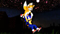 Sonic and Tails's Night out