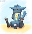 The second kind of Lucario