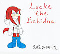 My first drawing of Locke the Echidna