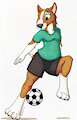 Bull Terrier Soccer