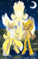 Super Sonic and Super Tails Fusion for hker021