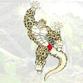Anthro Muscled Leopard Gecko - Glass Wall Climbing by YourInnerBeast