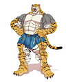 Anthro Muscled Tiger Ripping his clothes by YourInnerBeast