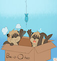 Otts in a Box by AJDurai
