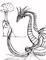 Sketch - Dragon by Calast