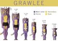 Grawlee's AR/Age ref sheet by Iakhot