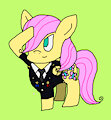 Fluttershy army general request