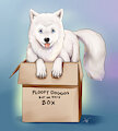 A Wolf in a Box