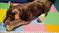 (Made-To-order) Modded Cuddlekins Wolf plush 30" by StuffMyStuffies