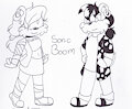 Sonic Boom Au