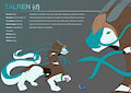 Commission - Talren Character Sheet