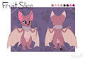 Fruit Slice Reference Sheet