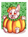 Bunny in Pumpkin