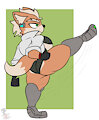 Fox's F-Tlit