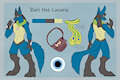 Ruri the Lucario - Reference Sheet