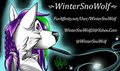 Business Cards 2012 by WinterSnoWolf