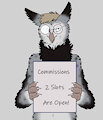 November Commissions - OPEN