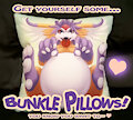 Bunkle Pillows!