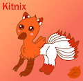 Kitnix