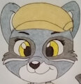 Scout the Raccoon