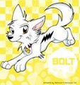 Bolt the Super Canine
