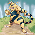 Electabuzz appeared