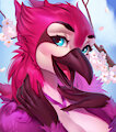 Cherry blossom portrait
